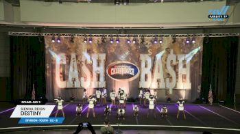 Sienna Reign - Destiny [2024 L1 Youth - D2 - B Day 2] 2024 Cheer Power Cash Bash Showdown Galveston