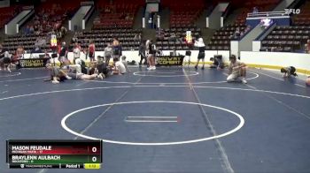 138 lbs Semis & 1st Wrestleback (8 Team) - Braylenn Aulbach, Rockford vs Mason Feudale, Michigan Mafia