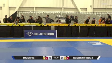 Juan Candelario Jimenez Jr vs Sandro Vivona 2025 World IBJJF Jiu-Jitsu No-Gi Championship