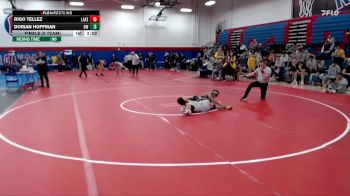 133 lbs Finals (2 Team) - Rigo Tellez, Lakeland vs Dorian Hoffman, Baldwin Wallace