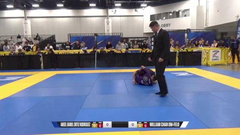 William Chan Om-Feld vs Angel Dariel Ortiz Rodriguez 2024 World IBJJF Jiu-Jitsu No-Gi Championship