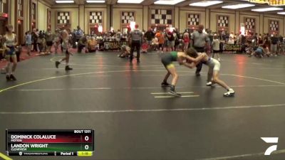 91 lbs Quarterfinal - Landon Wright, Clearview vs Dominick Colaluce, Motion