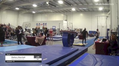 Mallory Marcheli - Vault, Stars Gymnastics Kat - 2021 Region 3 Women's Championships