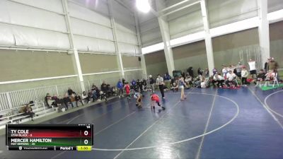 97 lbs Round 3 (4 Team) - Mercer Hamilton, Mat Demons vs Ty Cole, Utah Black