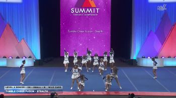 Tumble Cheer Fuzion - Stealth [2026 L4 Senior - D2 - Small - B Wild Card] 2026 The D2 Summit