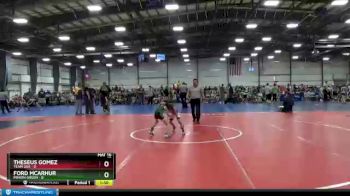 48 lbs Round 4 - Theseus Gomez, Team USA vs Ford McArhur, Minion Green