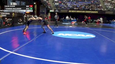 149 lbs Champ. Round 1 - Dominik Mallinder, Wis.-Whitewater vs Caleb Olson, Wartburg