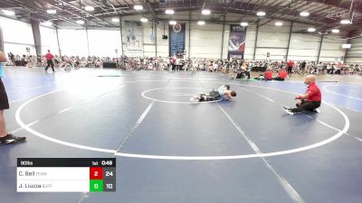 90 lbs Rr Rnd 1 - Cooper Bell, Team Bro vs Jacob Liuzza, Buffalo Valley Wrestling Club - Black