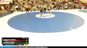 197 lbs 1st Place Match - Andrew Demos, North Central College vs Massoma Endene, Wartburg