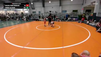 48 lbs Champ. Round 1 - Kaleia Vade Rendon, Takedown-City Wrestling vs Owen Allison, Texans Wrestling Club
