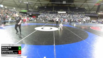43 lbs Semis - Himmat Virdi, Washington vs Carson Morrow, Mat Demon Wrestling Club