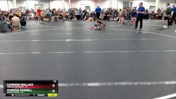56 lbs Placement (4 Team) - Cameron Wallace, Virginia Partriots vs Muirenn Bagnell, Kraken White