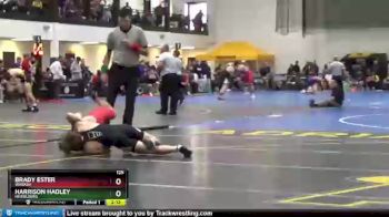 125 lbs Champ. Round 1 - Harrison Hadley, Heidelberg vs Brady Ester, Wabash