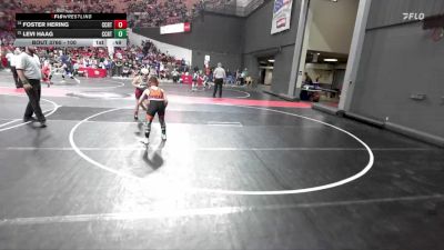 100 lbs Cons. Semi - Foster Hering, Saint Croix Falls vs Levi Haag, Mishicot