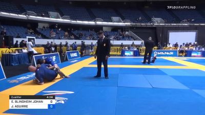 ERIK BLINDHEIM JOHANNESSEN vs JOSUE AGUIRRE 2019 World IBJJF Jiu ...