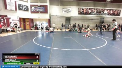 37 lbs Quarterfinal - Jett Rikala, Pleasant Grove Vikings vs Hayes Hardy, Box Elder Stingers