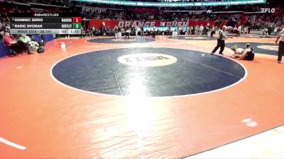 3A 157 lbs Semifinal - Radic Dvorak, Huntley vs Dominic Serio, Aurora (West Aurora)