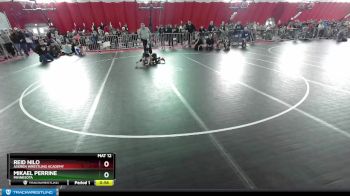63 lbs Champ. Round 1 - Mikael Perrine, Minnesota vs Reid Nilo, Askren Wrestling Academy