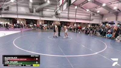 165 lbs Quarterfinal - Luke Walker, Alpha Pups Wrestling Club vs Elijah Black, Bordertown Brawlers Wrestling Club