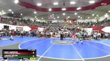 110 lbs Cons. Round 2 - Addy Andrews, Lafayette Central Catholic vs Lorana Dillon, Benton Central