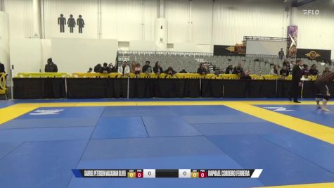 Natasha Franks vs Tatiana Valdivia Johnson 2024 World IBJJF Jiu-Jitsu No-Gi Championship