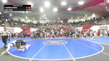 113 lbs Cons. Round 2 - Gabriel Ruano, Lake Central vs Cody Ellis, Intense WC