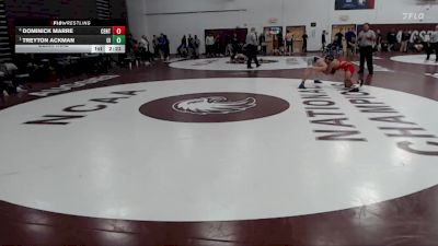 125 lbs Semifinal - Treyton Ackman, Upper Iowa vs Dominick Marre, Central