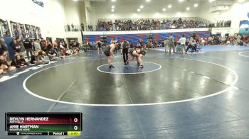 235 lbs Quarterfinal - Amie Hartman, Mountain Home vs Devlyn Hernandez, Post Falls