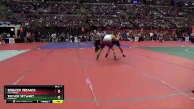 D3-215 lbs Semifinal - Trevor Stewart, Greenon vs Spencer Mesaros, Southeast