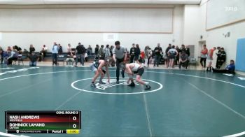 132 lbs Cons. Round 3 - Dominick Lamano, Layton vs Nash Andrews, Westfield