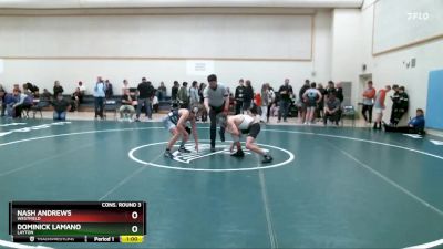 132 lbs Cons. Round 3 - Dominick Lamano, Layton vs Nash Andrews, Westfield