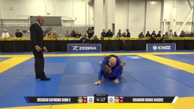 BRANDON ROARK HARSHE vs BRENDAN RAYMOND DUNN II 2025 World IBJJF Jiu-Jitsu No-Gi Championship