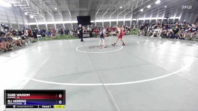 113 lbs Placement Matches (8 Team) - Gabe Wassom, Kansas vs Eli Herring, Pennsylvania