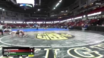 120 lbs Champ. Round 2 - Cade Gunnell, Middleton vs Levi Fitzsimmons, Centennial