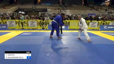 FIYIN SOKOYA vs ROGER BALDOMARO DELEON III 2023 Pan Jiu Jitsu IBJJF Championship