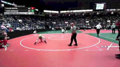 84 lbs Champ. Round 2 - Luke Donahue, DONA vs Caleb Roppel, BKV1