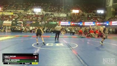 A - 113 lbs Champ. Round 1 - Colt Yocum, Hamilton vs Philip Westrick, Lockwood (Billings)