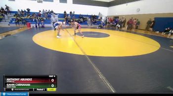 138 lbs Quarterfinal - Gavin Carnahan, Deer Park vs Anthony Abundiz, Othello