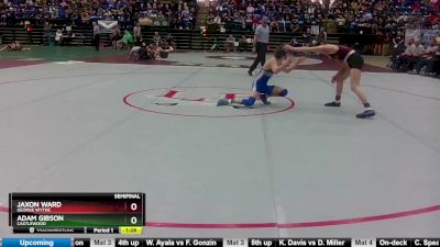 1 - 113 lbs Semifinal - Adam Gibson, Castlewood vs Jaxon Ward, George Wythe