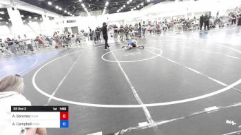 80 lbs Rr Rnd 3 - Anahi Sanchez, Madera WC vs Aryanna Campbell, Pursuit