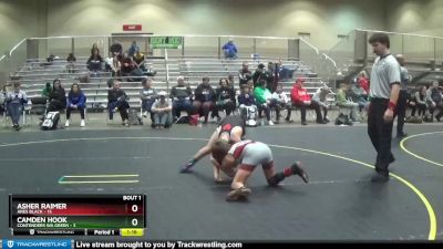 91 lbs Finals (2 Team) - Asher Raimer, Ares Black vs Camden Hook, Contenders WA Green