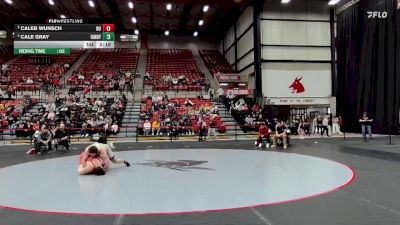 285 lbs Quarterfinal - Caleb Wunsch, Newman vs Cale Gray, Indianapolis