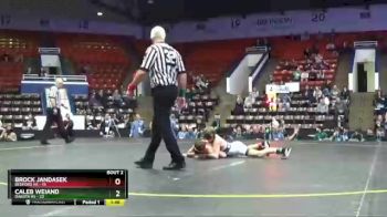 119 lbs Quarterfinals (8 Team) - Caleb Weiand, Dakota HS vs Brock Jandasek, Bedford HS