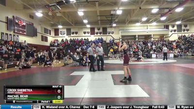 132 lbs Quarterfinal - Croix Shebetka, Mount Vernon vs MaCael Bear, South Tama County