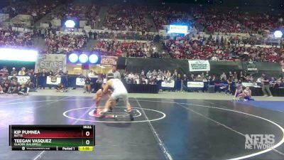 AA - 132 lbs 1st Place Match - Teegan Vasquez, Glacier (Kalispell) vs Kip Pumnea, Butte