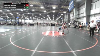 138 lbs Consi Of 64 #2 - Grayson Wallen, SC vs Logan Woodard, TN