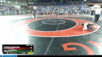 67 lbs Cons. Round 1 - Tucker Eisenmann, Mat Rats Rebooted vs Callan Pesicka, Auburn A-Team