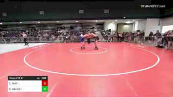 195 lbs Consi Of 16 #1 - Christopher Greil, FL vs Noah Wenzel, IL