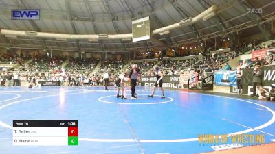 100 lbs Quarterfinal - Theo Gelles, PDL Trained vs Douglas Hazel, Henlopen Hammer