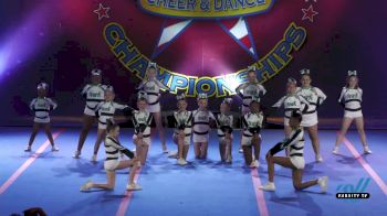 Reign Forces - Combat Queens [2022 L1 Youth - D2 Day 3] 2022 The American Legacy Springfield National DI/DII